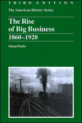 The Rise of Big Business by Glenn Porter image