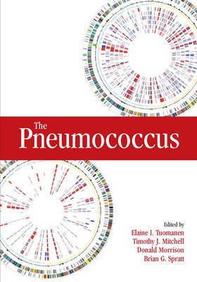 The Pneumococcus by Elaine I. Tuomanen image