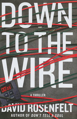 Down to the Wire by David Rosenfelt image