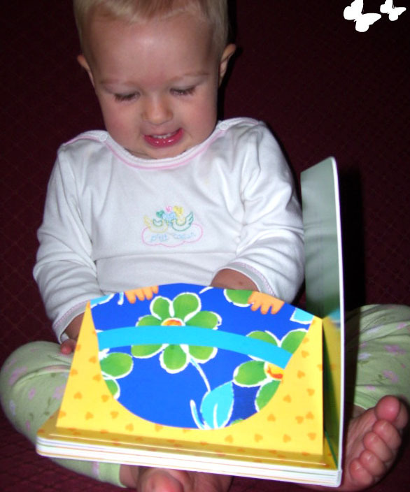 Where is Baby's Belly Button: A Lift-the-flap Book by Karen Katz image