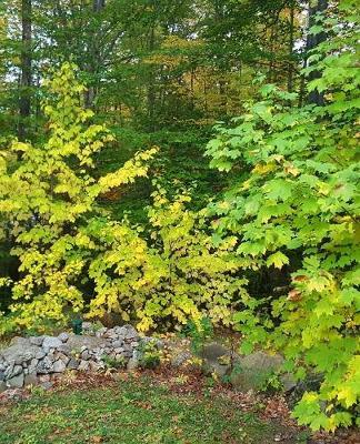 School Composition Book Landscape Stone Wall Forest image