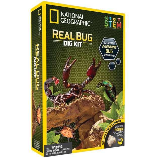 National Geographic: Real Bug Dig Kit