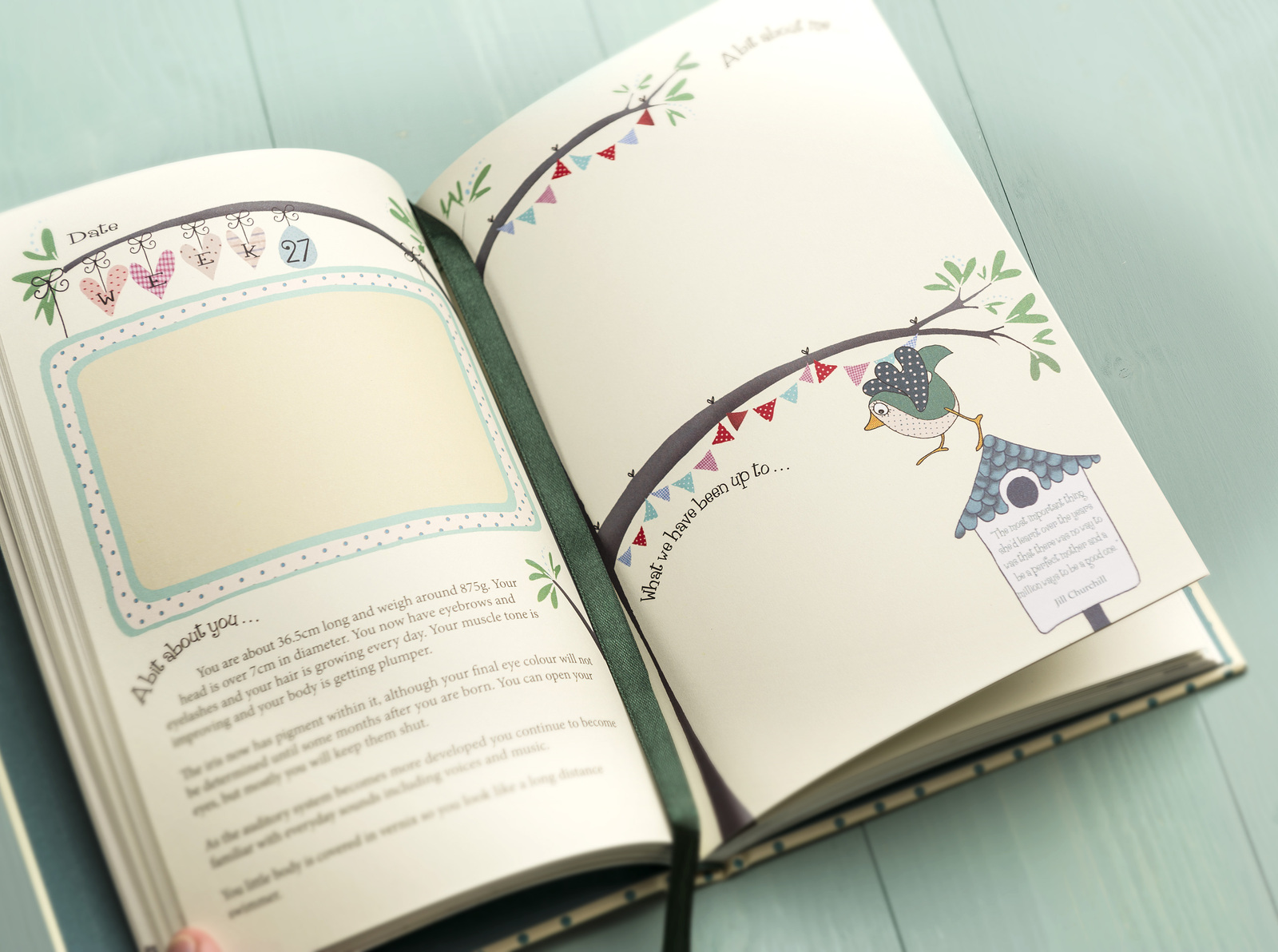 Bump to Birthday: Pregnancy & First Year Journal on Hardback by Helen from you to me