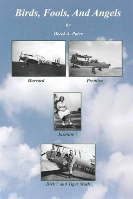Birds, Fools and Angels by Derek A. Paice image