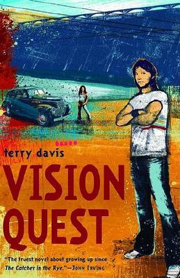Vision Quest by Terry Davis image