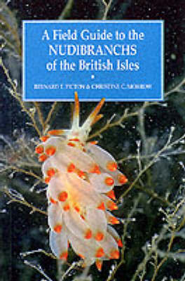 A Field Guide to the Nudibranchs of the British Isles by Bernard Picton image