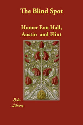 The Blind Spot by Austin and Flint, Homer Eon Hall image