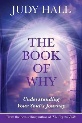 The Book of Why by Judy H. Hall image