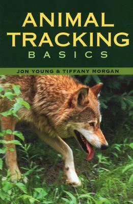 Animal Tracking Basics by Jon Young