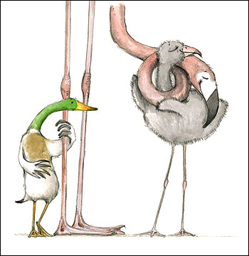 The Odd Egg by Emily Gravett image