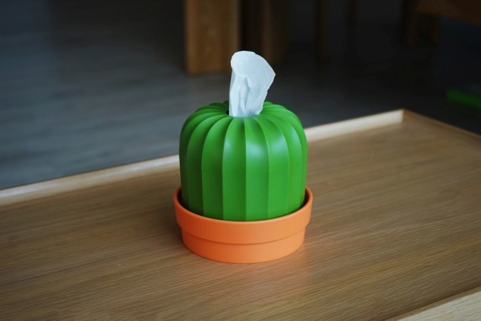 Qualy Cactiss Tissue Holder (Orange/Green) image