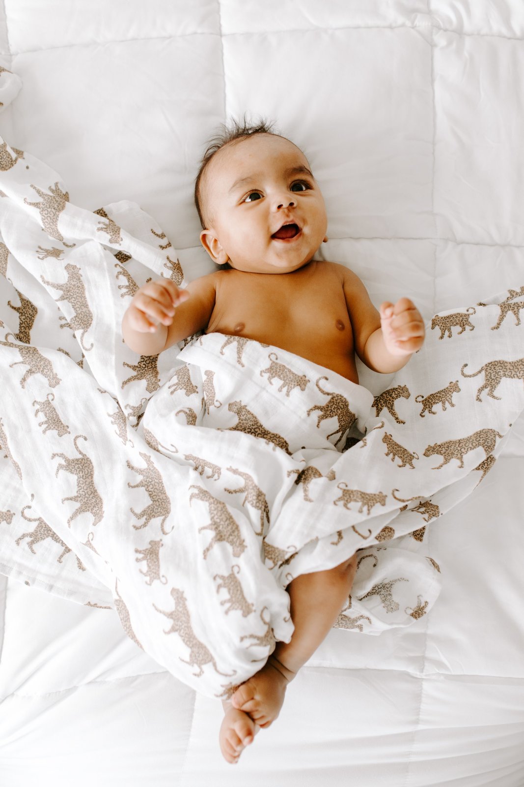 Aden + Anais: Hear Me Roar Classic Swaddles (4 Pack) image
