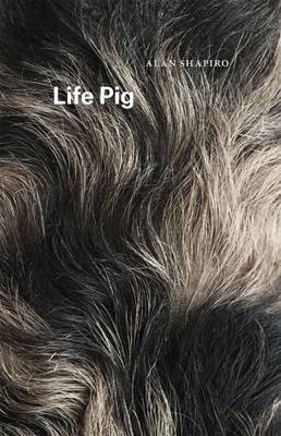 Life Pig by Alan Shapiro image