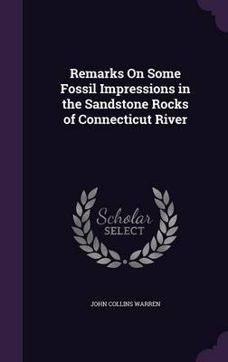 Remarks on Some Fossil Impressions in the Sandstone Rocks of Connecticut River by John Collins Warren image