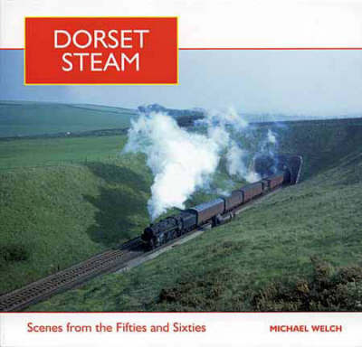Dorset Steam by Michael Welch image