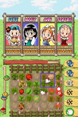 Puzzle de Harvest Moon for Nintendo DS image
