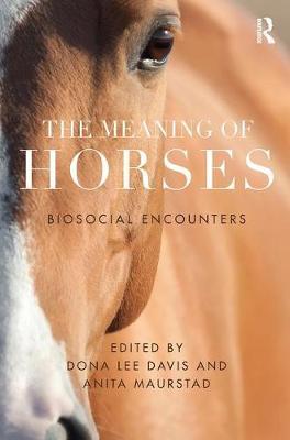 The Meaning of Horses image