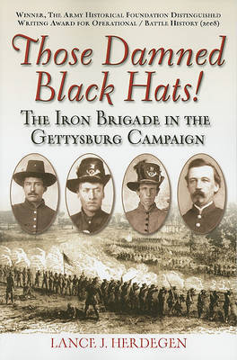 Those Damned Black Hats! by Lance J Herdegen image