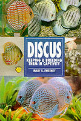 Discus by Mary E Sweeney image