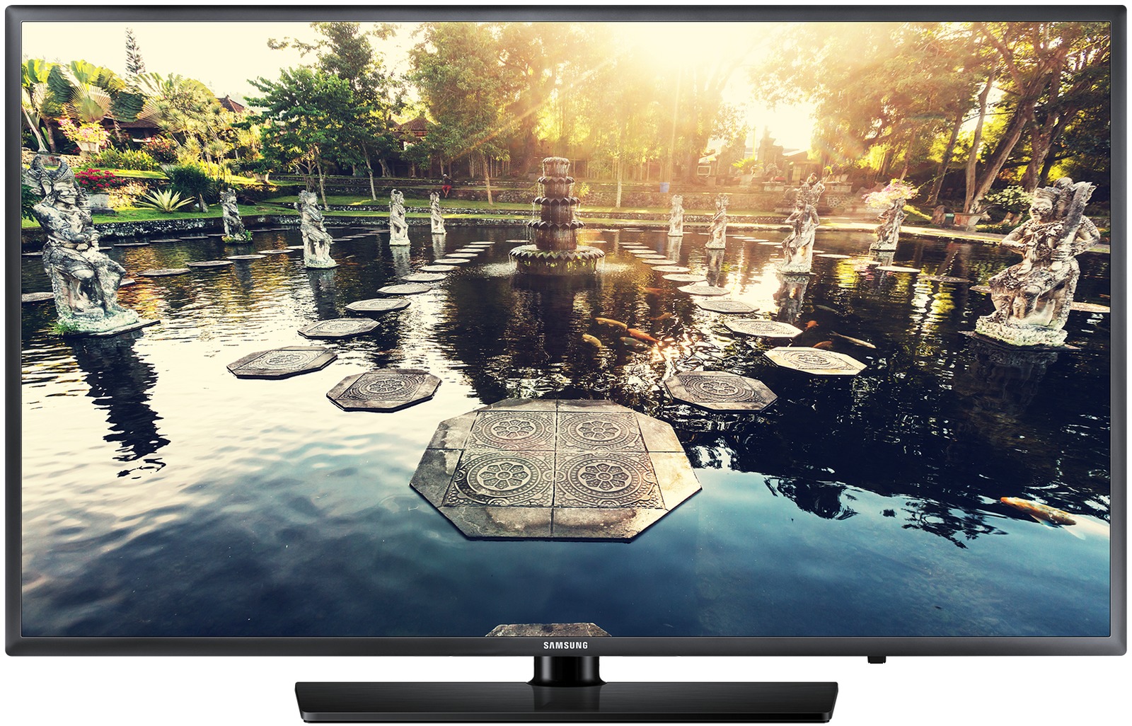43" Samsung HE69X Hospitality Display image