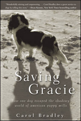 Saving Gracie by Carol Bradley image