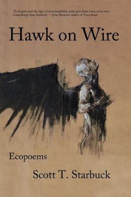 Hawk on Wire by Scott T Starbuck image