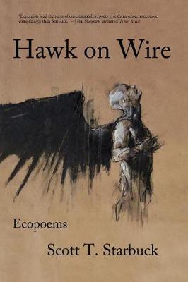 Hawk on Wire by Scott T Starbuck