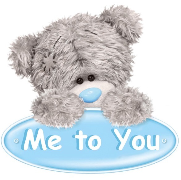 me2you teddy