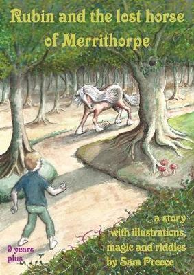 Rubin and the Lost Horse of Merrithorpe by Sam Preece image
