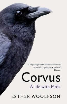 Corvus by Esther Woolfson image
