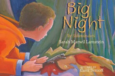 Big Night for Salamanders on Hardback by Sarah Marwil Lamstein