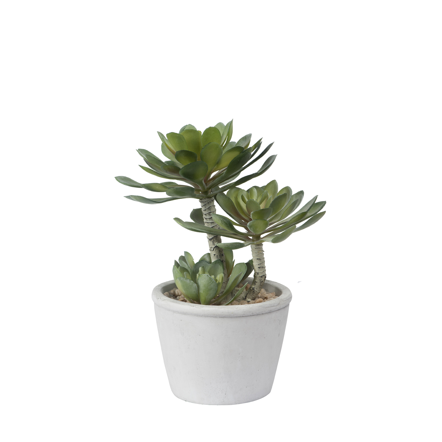 General Eclectic: Artificial Plant - Succulent