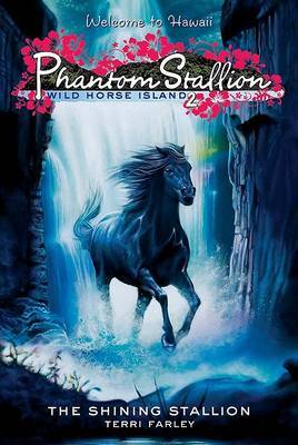 Phantom Stallion: Wild Horse Island #2: The Shining Stallion by Terri Farley image