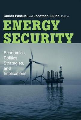 Energy Security image