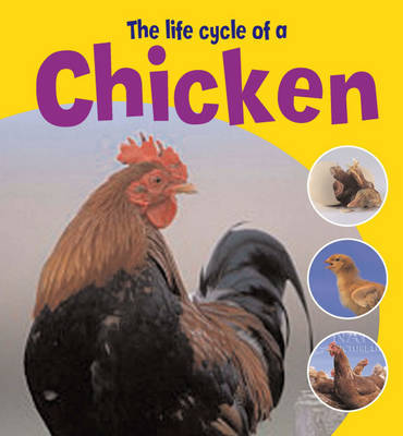 The Life Cycle of a Chicken by Ruth Thomson image