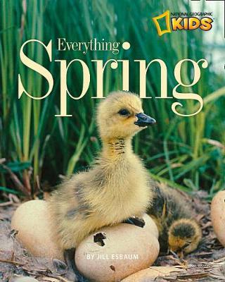 Everything Spring by Jill Esbaum image