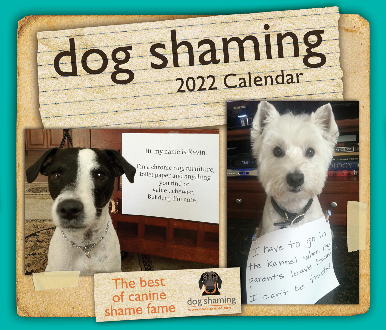 buy-dog-shaming-2022-day-to-day-calendar-at-mighty-ape-nz