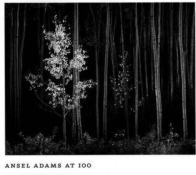 Ansel Adams at 100 by John Szarkowski image