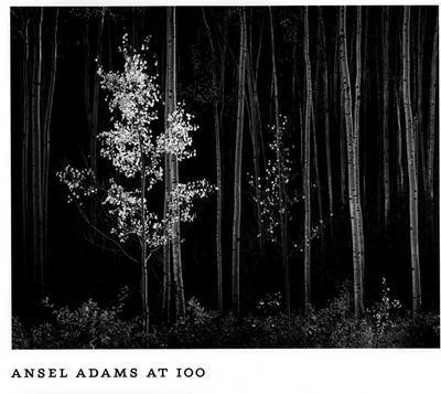 Ansel Adams at 100 image