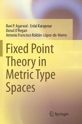 Fixed Point Theory in Metric Type Spaces by Ravi P Agarwal image