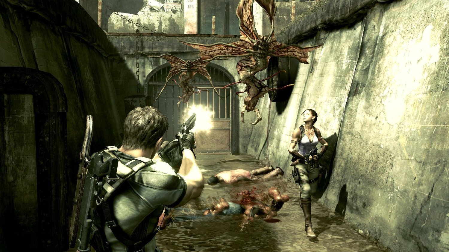 Resident Evil 5 HD image