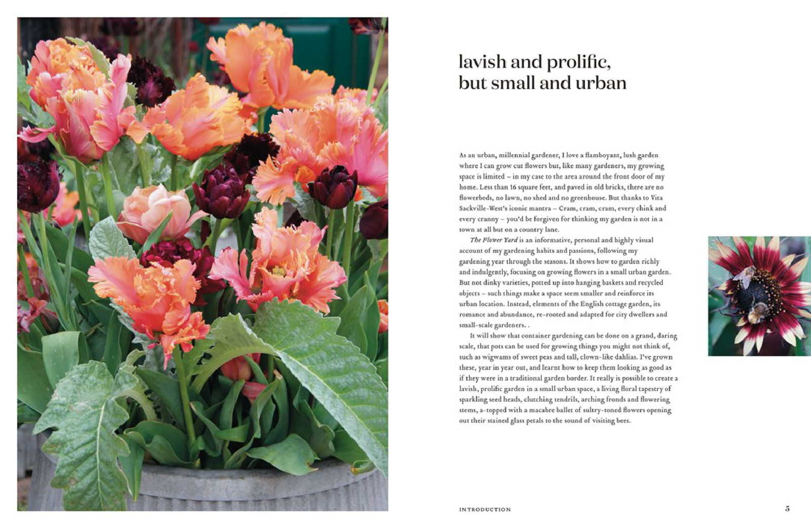 The Flower Yard Arthur Parkinson Book InStock Buy Now at