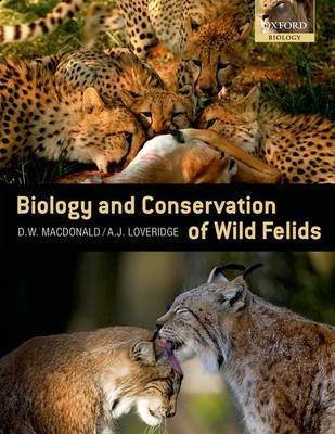 The Biology and Conservation of Wild Felids on Hardback