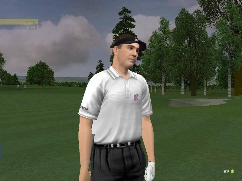 ProStroke Golf: World Tour 07 for PC Games image