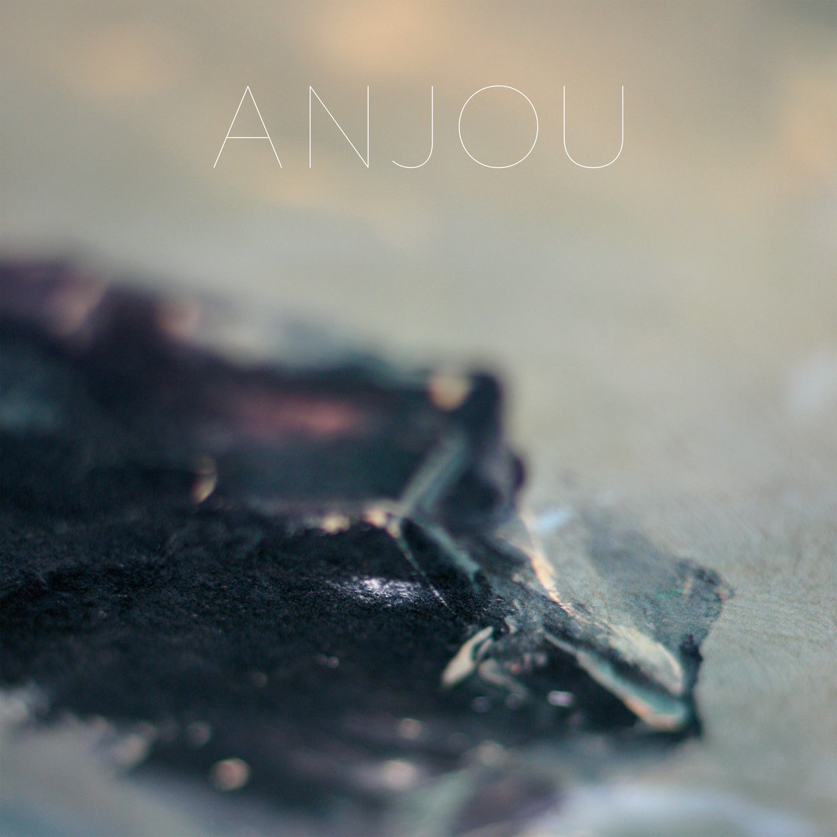 Epithymia (2LP) by Anjou image