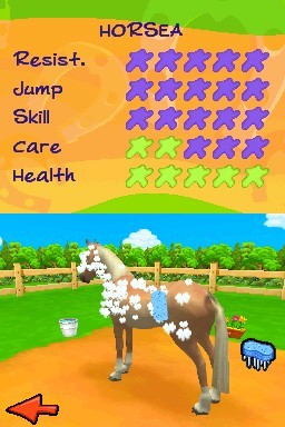 Horsez: Farm Adventures for Nintendo DS image