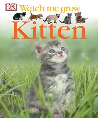 Kitten by Lisa Magloff image