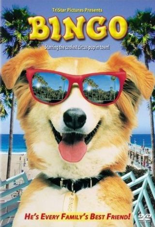 Bingo on DVD image