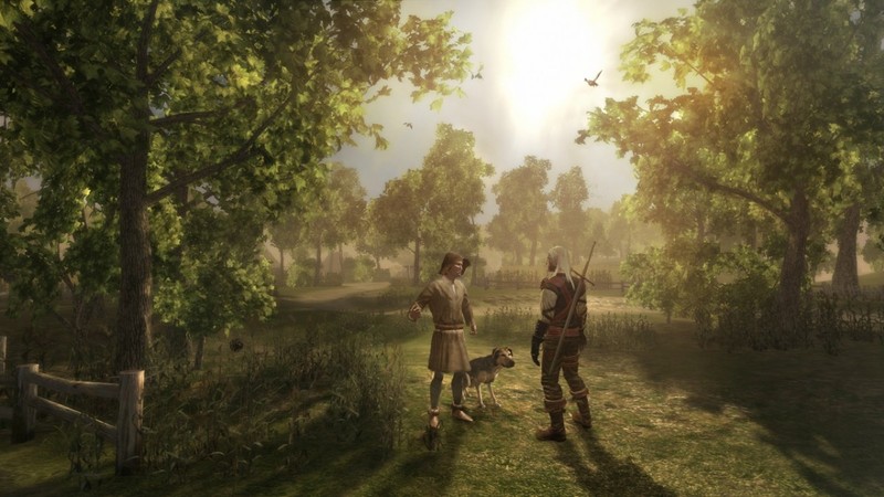 The Witcher: Rise of the White Wolf for Xbox 360 image