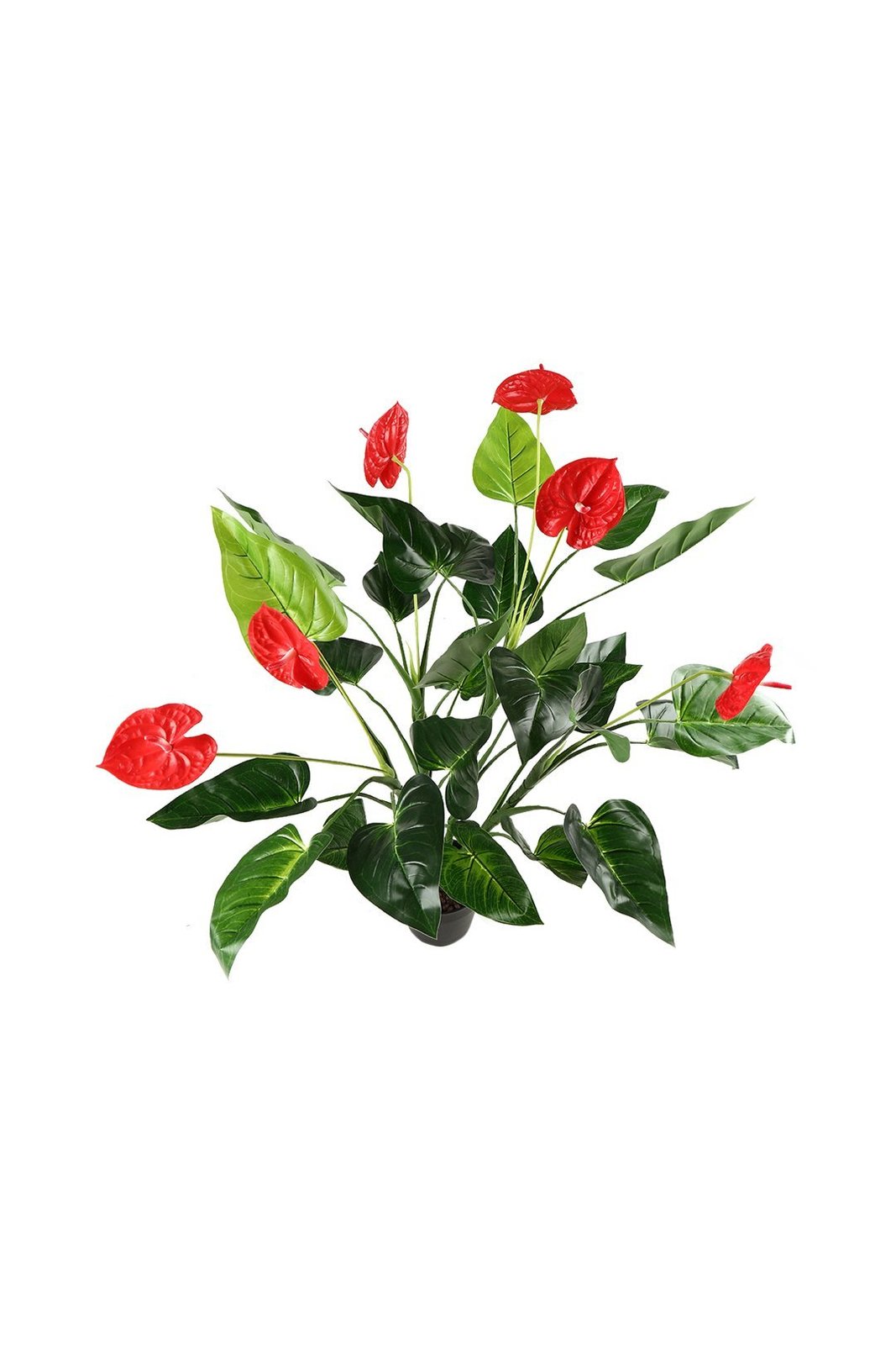 Artificial Anthurium Plant with Pot at Mighty Ape NZ